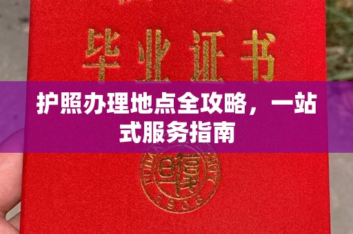 淮滨护照办理地点全攻略，一站式服务指南