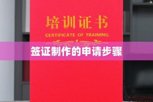 淮滨签证制作的申请步骤