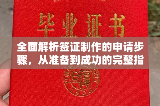 淮滨全面解析签证制作的申请步骤，从准备到成功的完整指南