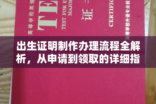 淮滨出生证明制作办理流程全解析，从申请到领取的详细指南